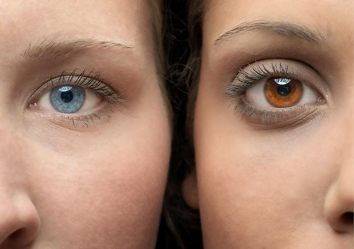 Quel Type De Yeux Vous Avez