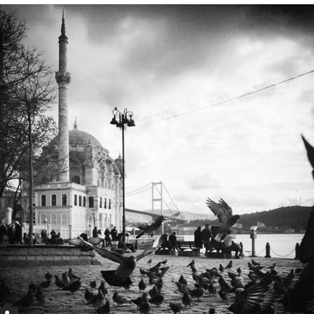 Hangi Dünya Şehrisin ?