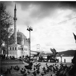 Hangi Dünya Şehrisin ?