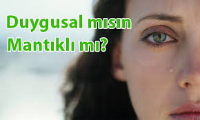 Duygusalmısın Mantıklımısın?