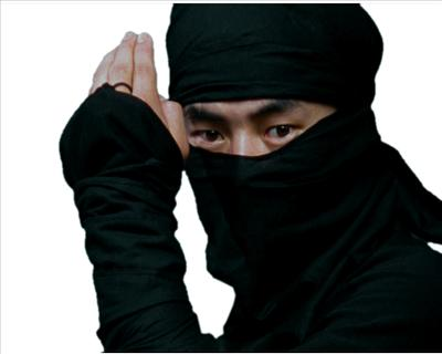 Are You A True Ninja?