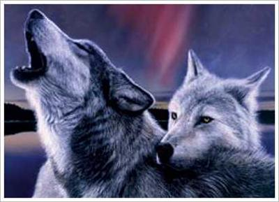 What Animal Are You Most Like?