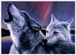 What Animal Are You Most Like?