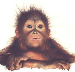 How Hot Do You Look Today