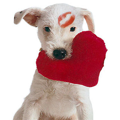 Puppy Love