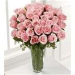Pink Roses By Dawn