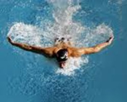 What Is The Best Sport?