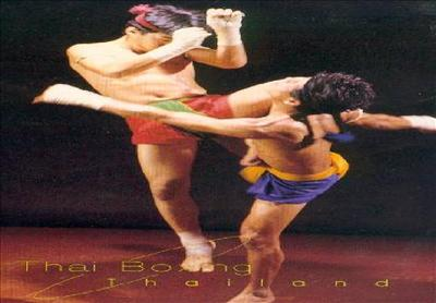 Which Martial Art Are You?