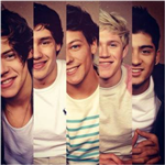 Eres Directioner O Directionator