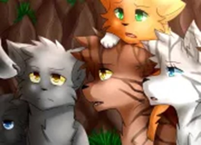 Qui es-tu dans la guerre des clans cycle 1