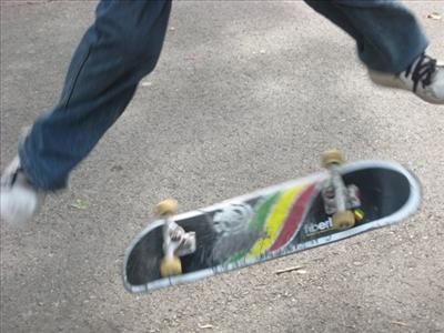 Will You Learn A New Trick This Week?