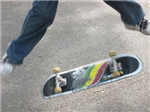 Will You Learn A New Trick This Week?