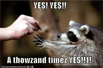 The Useless Yes Quiz Do It!!!