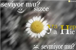 Gmsé Beni Seviyor 