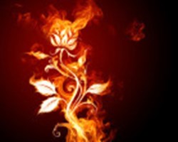 Are You An Angel Or A Demon?