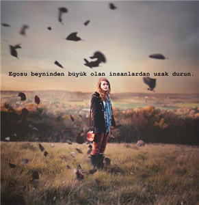 Kilonu Hangi Meyve Anlatıyor?