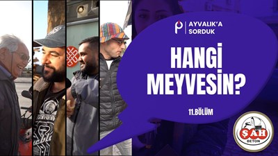 Hangi meyvesin?