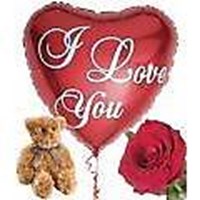 Love Or Not In Love?