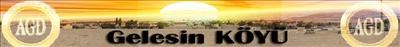 Www.Gelesin.At