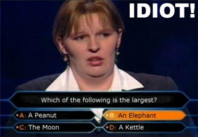 The Idiot Test