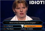 The Idiot Test