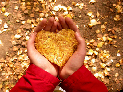 Your Real Love Finder