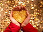Your Real Love Finder