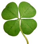How Lucky Are You?