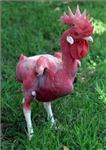 Êtes-Vous Un Poulet?
