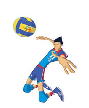 Quale ruolo di pallavolo fa per te?