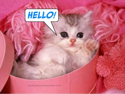 Hello