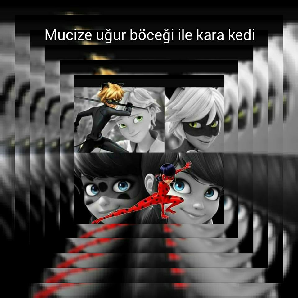 Hangi Miraculous Karakterisin ?