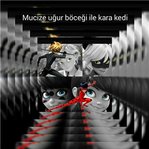Hangi Miraculous Karakterisin ?