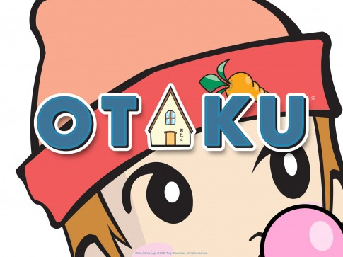 Es-Tu Un Otaku?