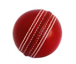 Cricket_Menia