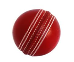 Cricket_Menia