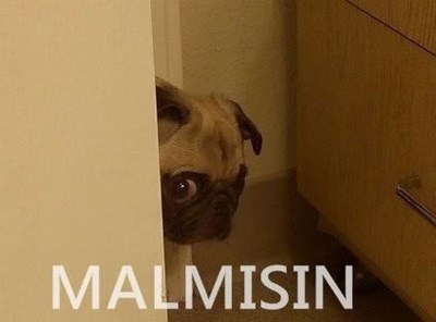 Ne kadar malsın testi