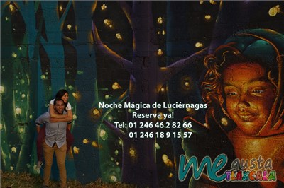 Que Tipo De Luciérnaga Eres?