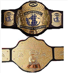 Hangi Wwe Kemerini Hakediyorsun