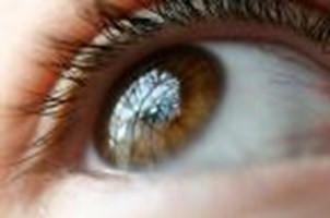 What Eye Color Do U Want Ur Perfect Guy To Have|?