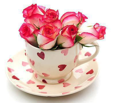 Beautiful Roses