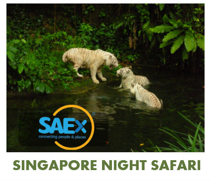 Singapore Tourism Guide