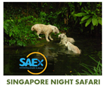 Singapore Tourism Guide