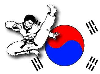 Poomsaes Or Fight