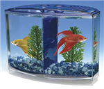 Betta Exchange