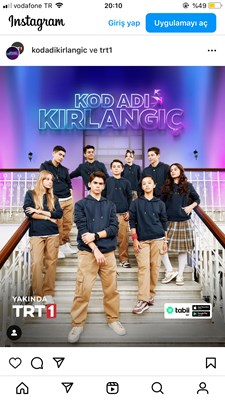 Hangi kod adı kırlangıç karakterisin?