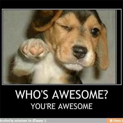 How Awesome R U?