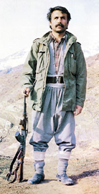 Hangi Kürte Benziyosun