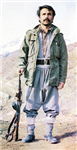 Hangi Kürte Benziyosun