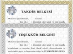 Taktir Mi Alacaksın Teşekkür Mü?